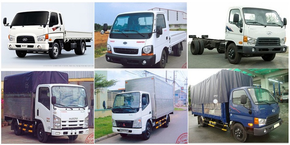Ví dụ về chủng loại hàng hóa