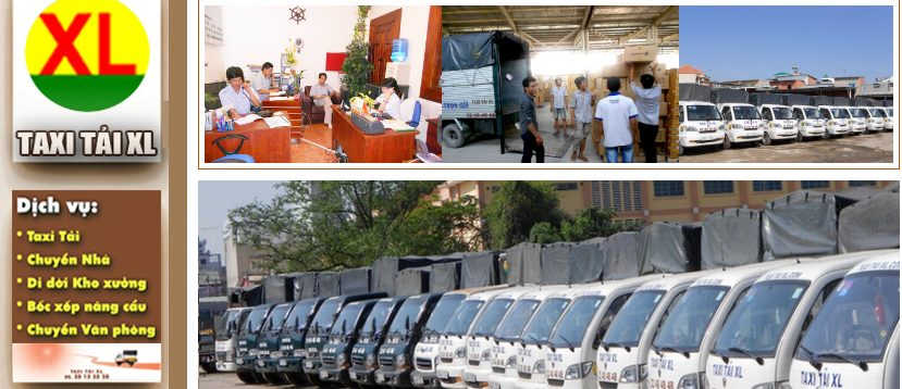 các dịch vụ mà công ty Xá Lợi cung cấp cho khách hàng