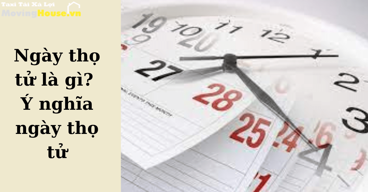 Ngày thụ tử là gì