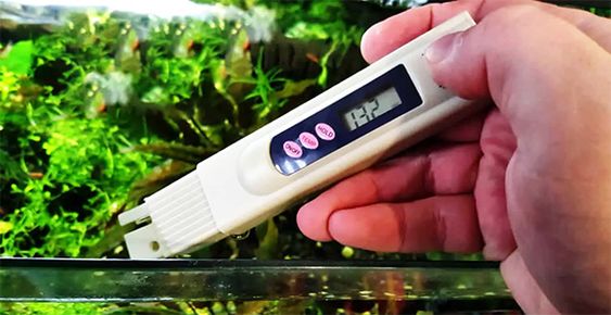 Kiểm tra tình trạng bể thủy sinh trước khi vận chuyển