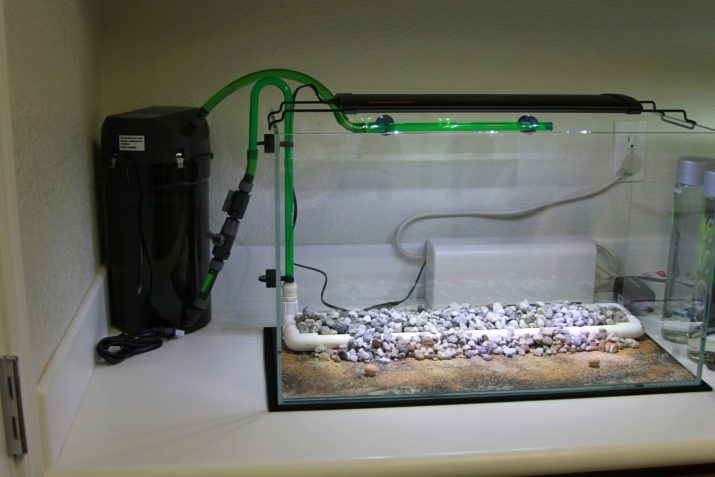 Cách vận chuyển bể thủy sinh khi chuyển nhà